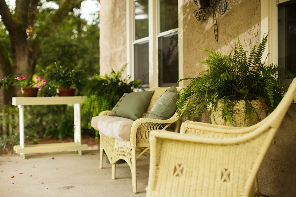 Crooked Tree Cottage / Gallery